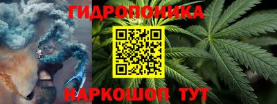 бошки Сланцы