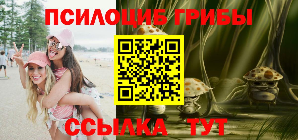 Псилоцибиновые грибы мухоморы  Вход с VPN  Новоуральск  Псилоцибиновые грибы мицелий 