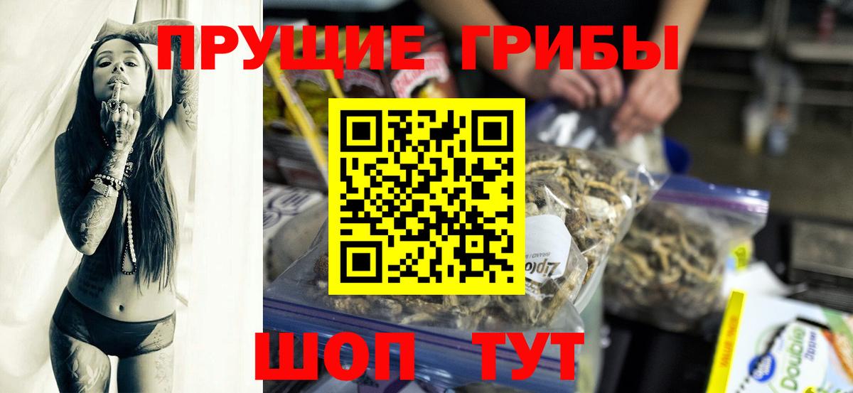 Псилоцибиновые грибы Psilocybine cubensis Новоуральск