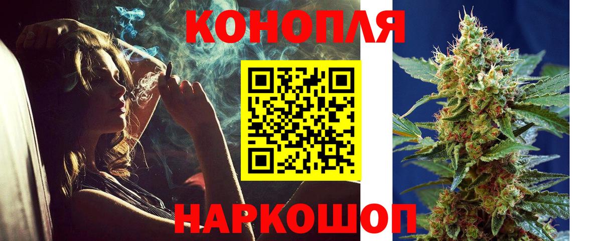 Канабис сатива Новоуральск
